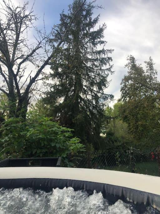 Charmant Gite En Perigord Vert Douchapt 外观 照片